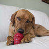 KONG Easy Treat - Liver - Image 3