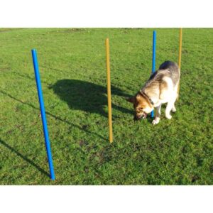 Agility Slalom Poles 5 Pack