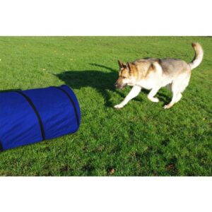 Agility Tunnel