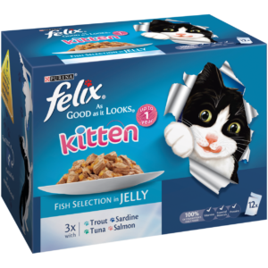 Felix As Good As It Looks Kitten Fish 12X100G