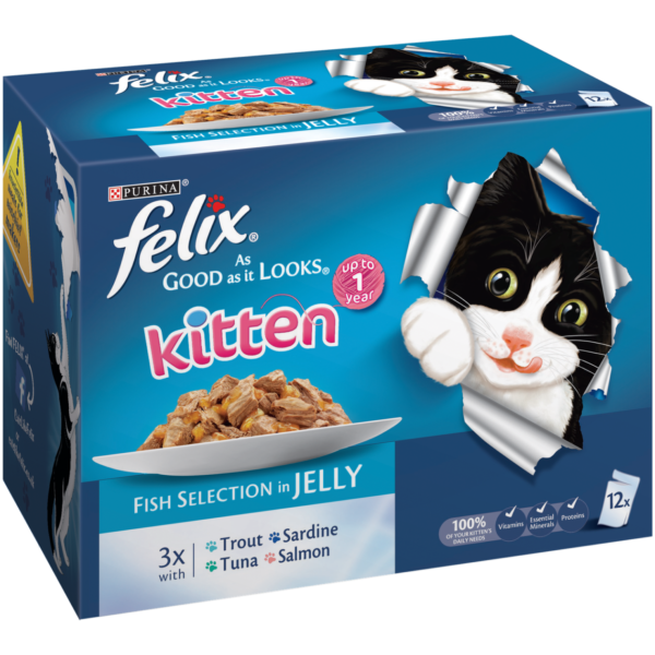 Felix As Good As It Looks Kitten Fish 12X100G