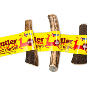 Antos Antler - Small