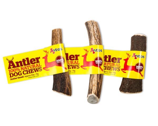 Antos Antler - Small