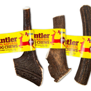 Antos Antler - Large