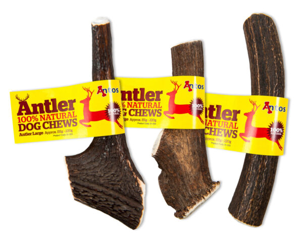 Antos Antler - Large