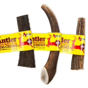 Antos Antler - Medium
