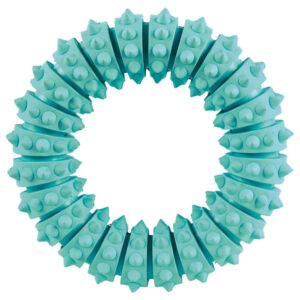 Denta Fun Ring Mint Flavour - Natural Rubber (12cm)