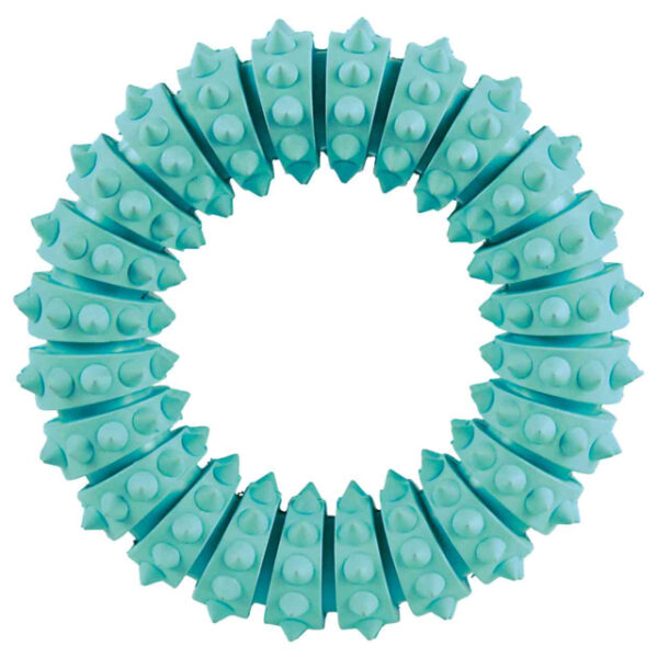 Denta Fun Ring Mint Flavour - Natural Rubber (12cm)