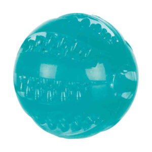 Denta Fun Ball Mint Flavour (6cm)