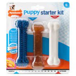 Nylabone Puppy Stages Chew Triple Pack Chicken - Small