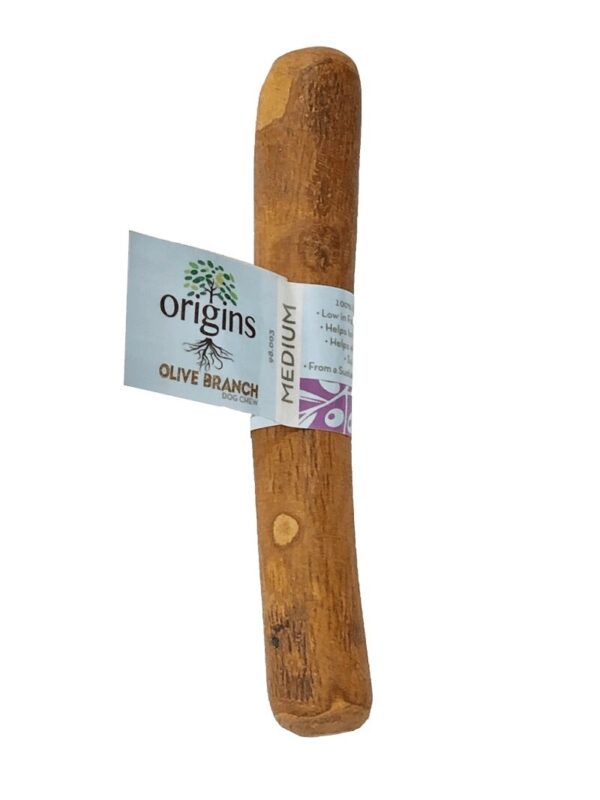 Origins Olive Branch - Medium