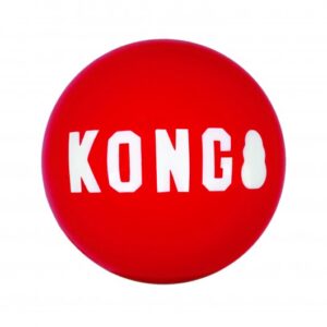 KONG Signature Balls 2 Pack - Medium