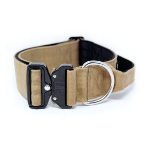 BullyBillows 5m Combat Collar