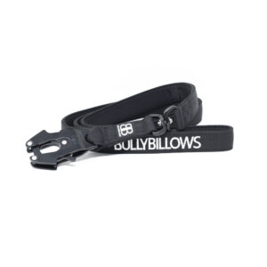 BullyBillows Swivel Lead