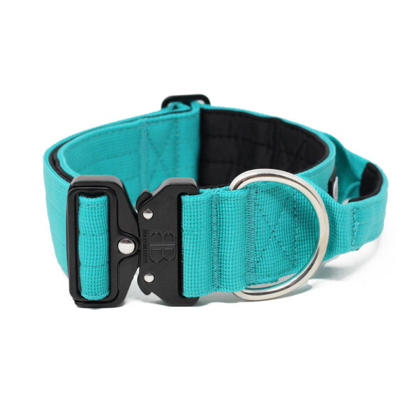 BullyBillows 5cm Combat Collar