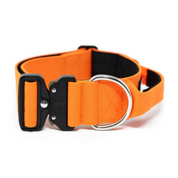 BullyBillows 5cm Combat Collar