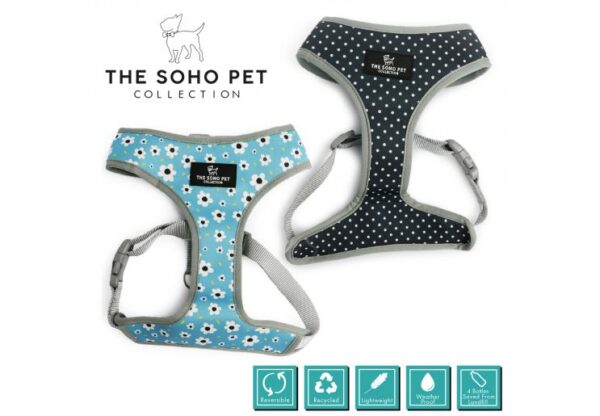 Ancol Soho Pet Collection Patterned Harness - Daisy/Polka Dot
