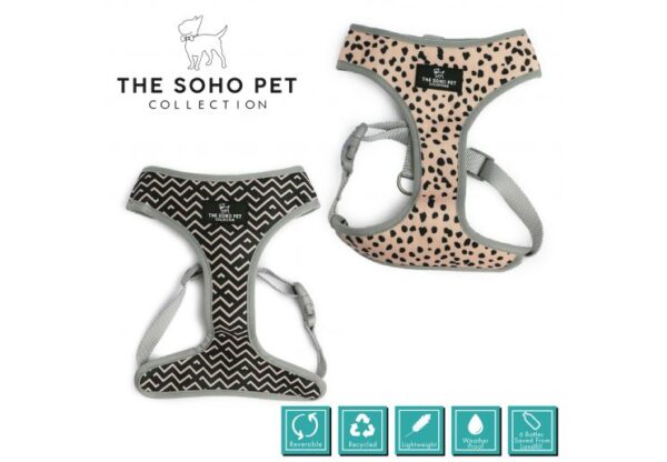 Ancol Soho Pet Collection Patterned Harness - Dalmatian/Zigzag