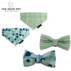 Ancol Soho Pet Collection Patterned Bandana/Bow Tie - Stripe/Leaf