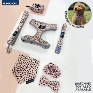 Ancol Soho Pet Collection Patterned Collar/Lead - Dalmatian