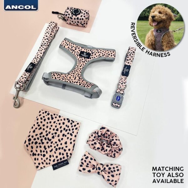 Ancol Soho Pet Collection Patterned Collar/Lead - Dalmatian