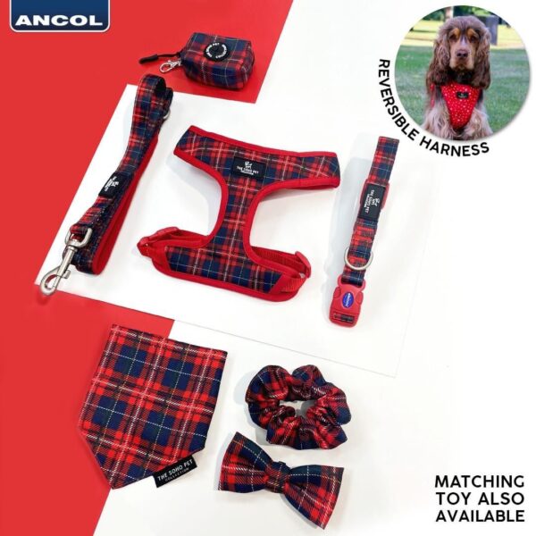Ancol Soho Pet Collection Patterned Collar/Lead - Tartan