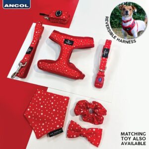 Ancol Soho Pet Collection Patterned Collar/Lead - Star
