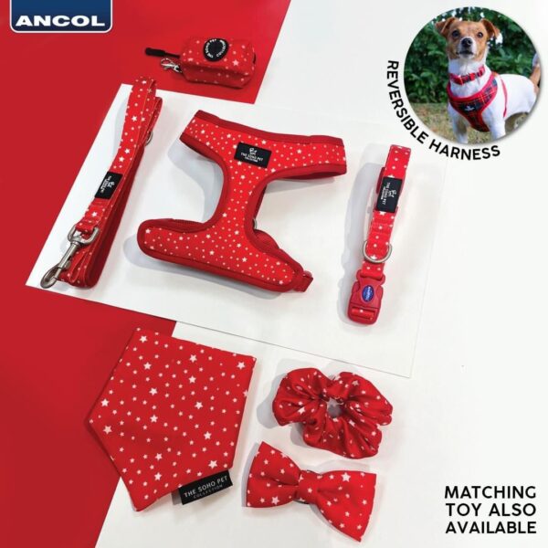 Ancol Soho Pet Collection Patterned Collar/Lead - Star
