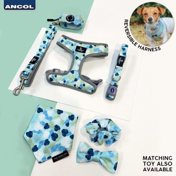 Ancol Soho Pet Collection Patterned Collar/Lead - Leaf