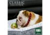 Ancol Classic Collection Leather Stud Collar - Red - Image 4