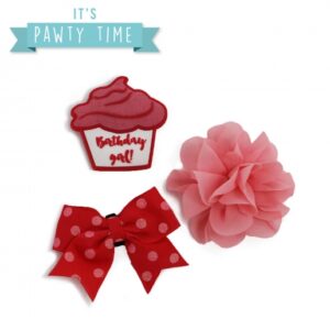 Ancol Its My Birthday Collar Accessories - Pink