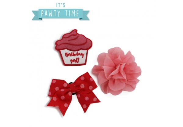Ancol Its My Birthday Collar Accessories - Pink