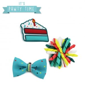 Ancol Its My Birthday Collar Accessories - Blue
