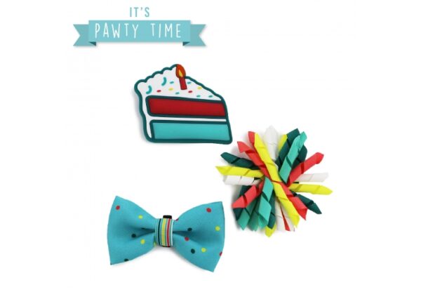 Ancol Its My Birthday Collar Accessories - Blue