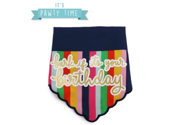 Ancol Pawty Time Bandana