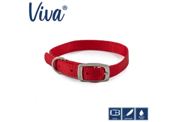 Viva Nylon
