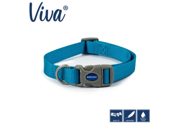 Adjustable Collar – Blue