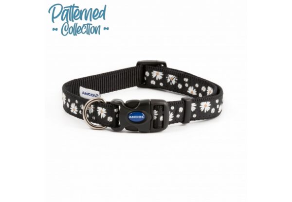 Collar & Lead – Black Daisy