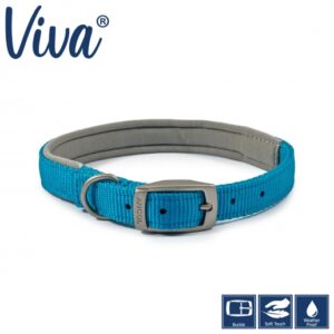 Padded Collar – Blue