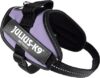 Julius K9 IDC® Powerharness - Purple - Image 3