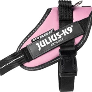 Julius K9 IDC® Powerharness - Pink