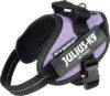 Julius K9 IDC® Powerharness - Purple - Image 2