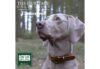 Ancol Timberwolf Leather Collar - Sable - Image 2