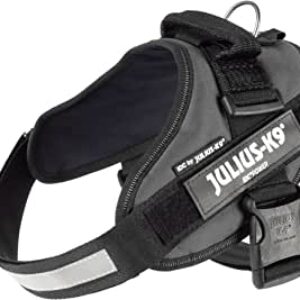 Julius K9 IDC® Powerharness - Grey