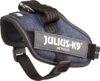 Julius K9 IDC® Powerharness - Denim - Image 4