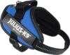 Julius K9 IDC® Powerharness - Blue - Image 2
