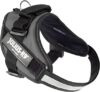 Julius K9 IDC® Powerharness - Grey - Image 2
