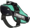 Julius K9 IDC® Powerharness - Grass-Green - Image 3