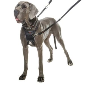 Halti No Pull Harness - Large