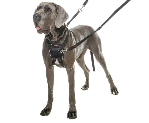 Halti No Pull Harness - Large